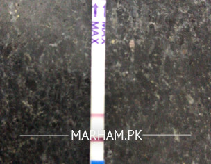 Pregnancy Including 2 Miscarriage 
