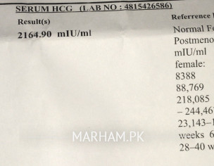 Query Related To Lab Report 