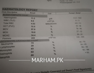 Test Report Checking