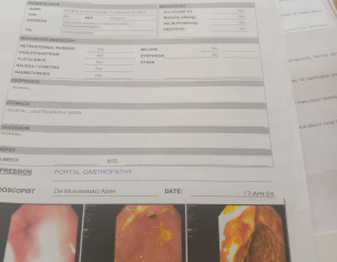 Stomach/gastric