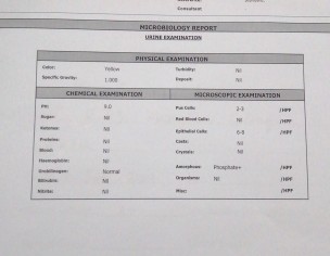 Urine Reports 