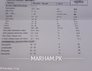 Relevant Test