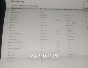 Kidney Problem