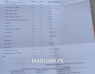Report Checking