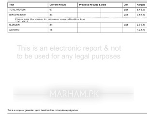Chk Report