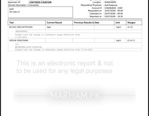 Kidny Teat Report