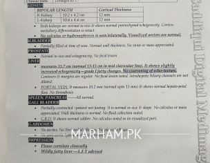 Kidney Report 