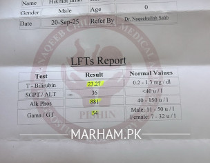 جگر کے پتے کا مسلہ اررہاہے ہیپاٹائٹس بھی ہیں اب بچہ کچھ نہیں کھا رہاہے جوس دیتے ہیں تو ایک دم قی کردیتے ہیں 