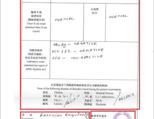 Foreigner Physical Examination Form