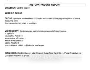 About Reports