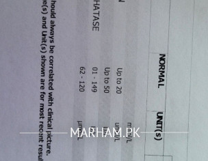 Test Reports