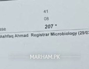 Gynaecology 