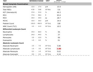 Test Report