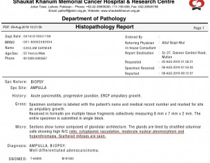 Pancreatits