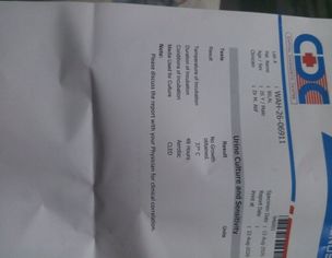 Check May Culture Report