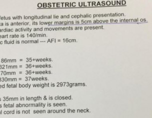 Placenta Issue