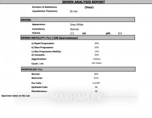 Kindly Check The Report