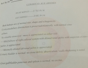 Kidney Swelling 
