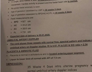 Pregnancy Query