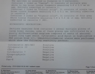 Biopsy Report
