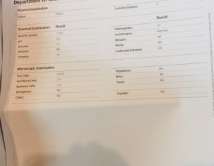 Reports Check
