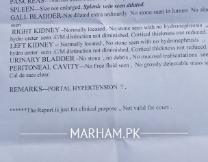 Liver & Stomach