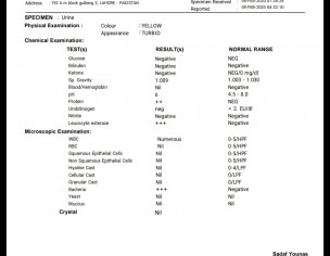 Ckd Stage 5