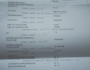 Semen Analysis Report