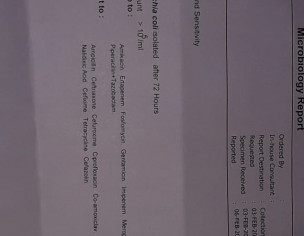 Urinary Track Infection 