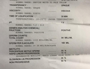 Semen Analysis