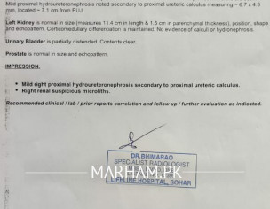 Kidney Problem