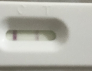 Contraceptive,irregular Cycle, Ovulatiom