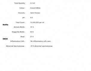 Semen Test Report