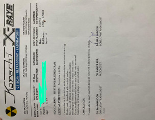 HSG Report