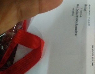 Test Report