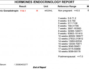 Report Check Pls ( Pcos) 