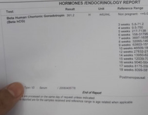 Report Check Pls