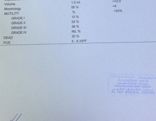Semen Analysis 