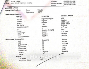 Kidney Problem