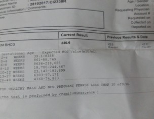 Report