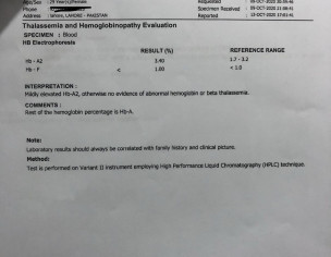 Thalassemia Report