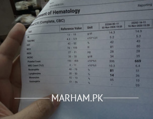 Pcr Positive 