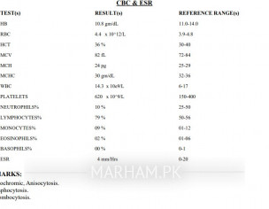 Help Me Read A Report