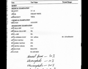 Semen Analysis 