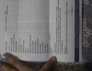 Pregnancy 
