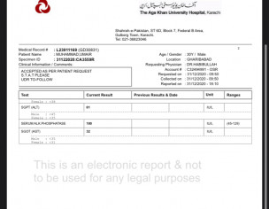 Report Test