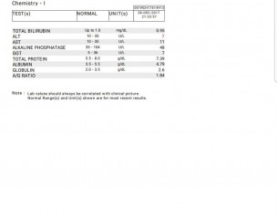 Inactivated Hepatitis B