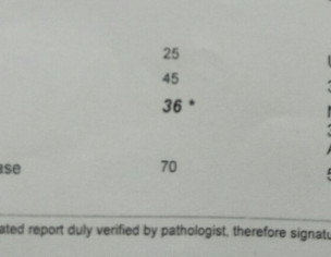 LFT Test Report