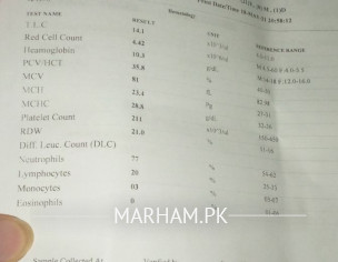 Report Checking