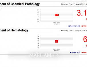 Reports, Xray